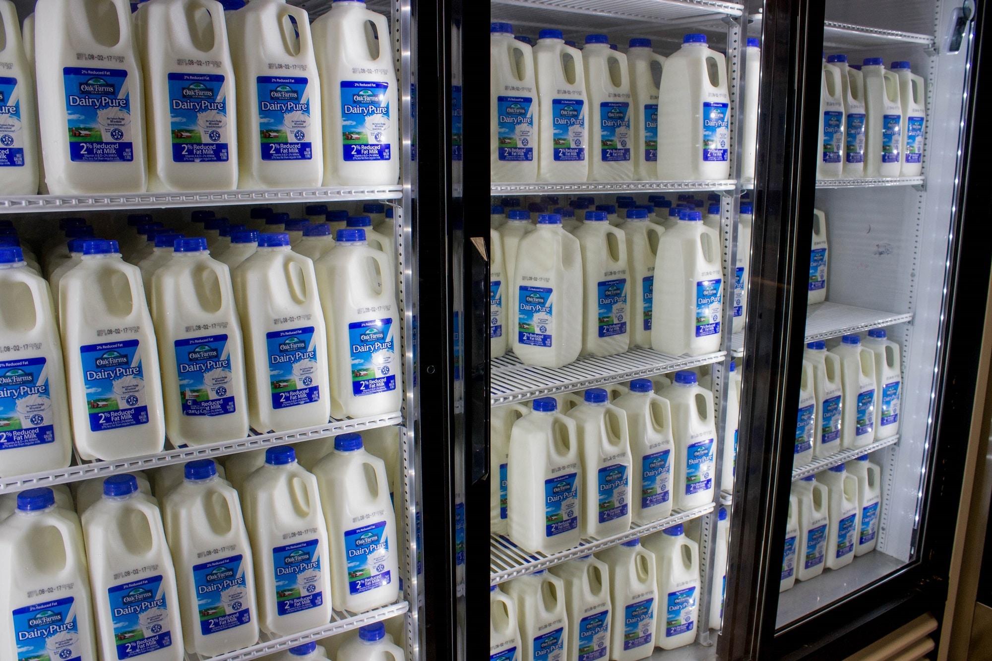 Milk in refrigerator section at store