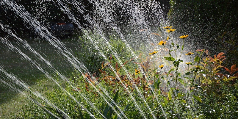 Sprinklers watering a garden