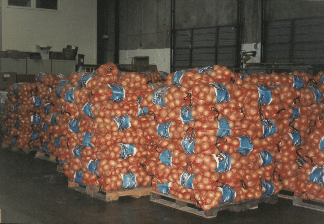 Stacks of oranges at the Charitable Produce Center
