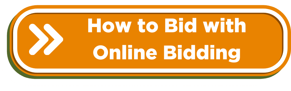 How to Bid with Online Bidding