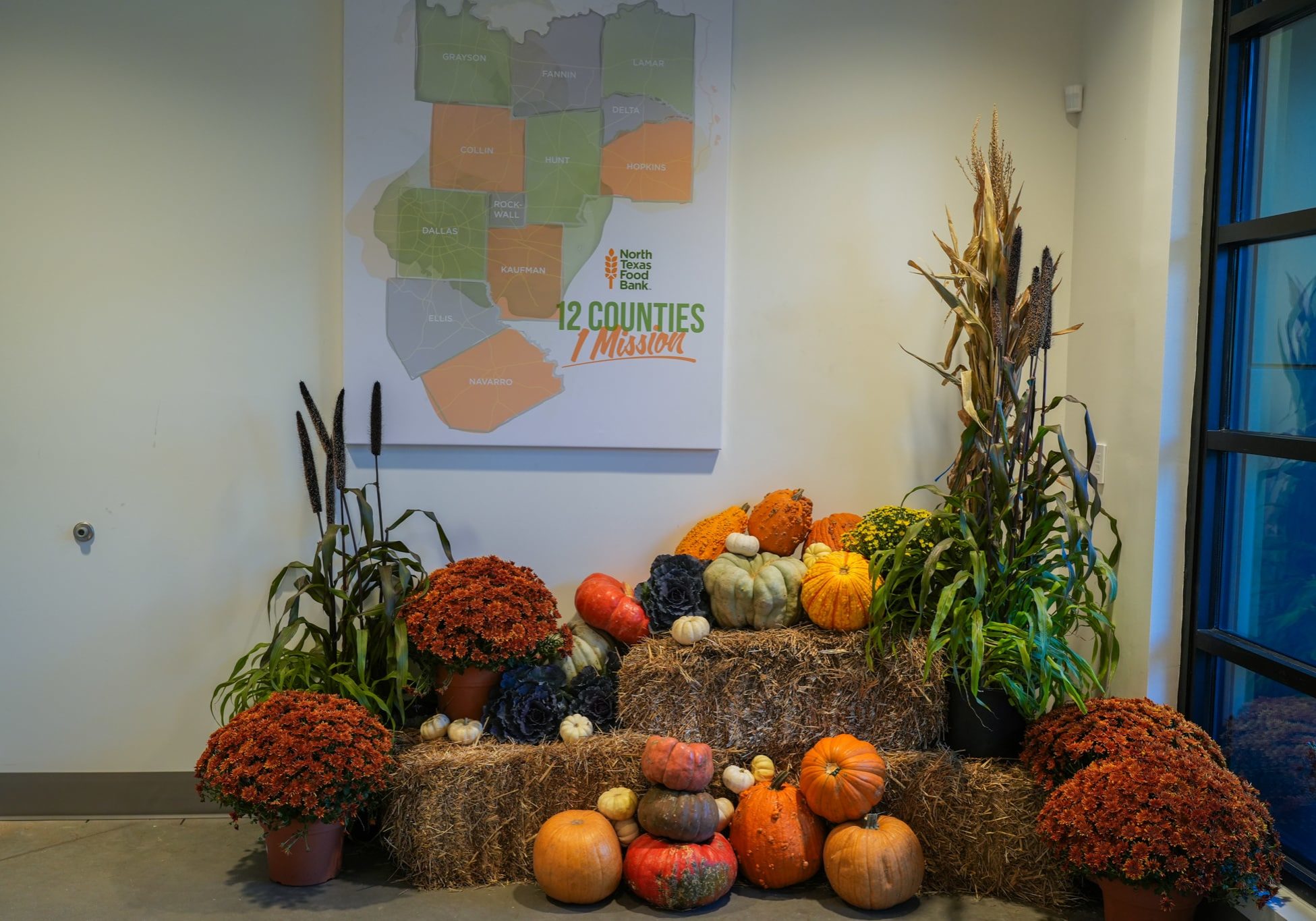 54889239775 6a927c24c9 O