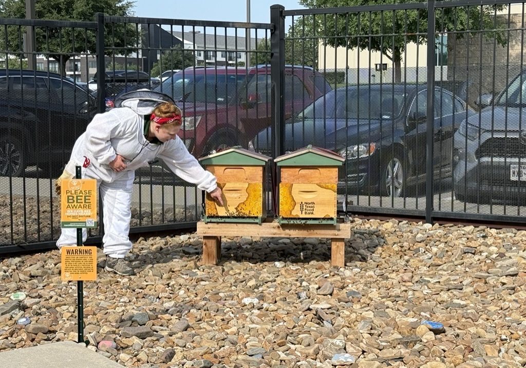 Image 2025 06 02T095010.513