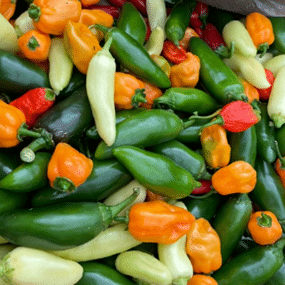JansGarden Peppers