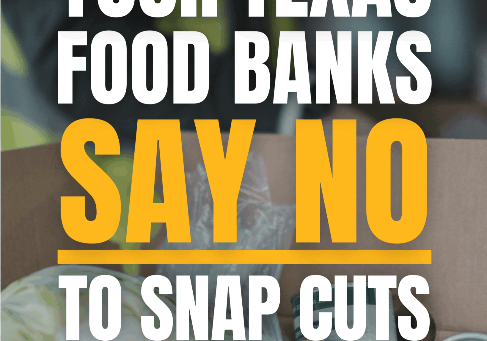 No To SNAP Cuts
